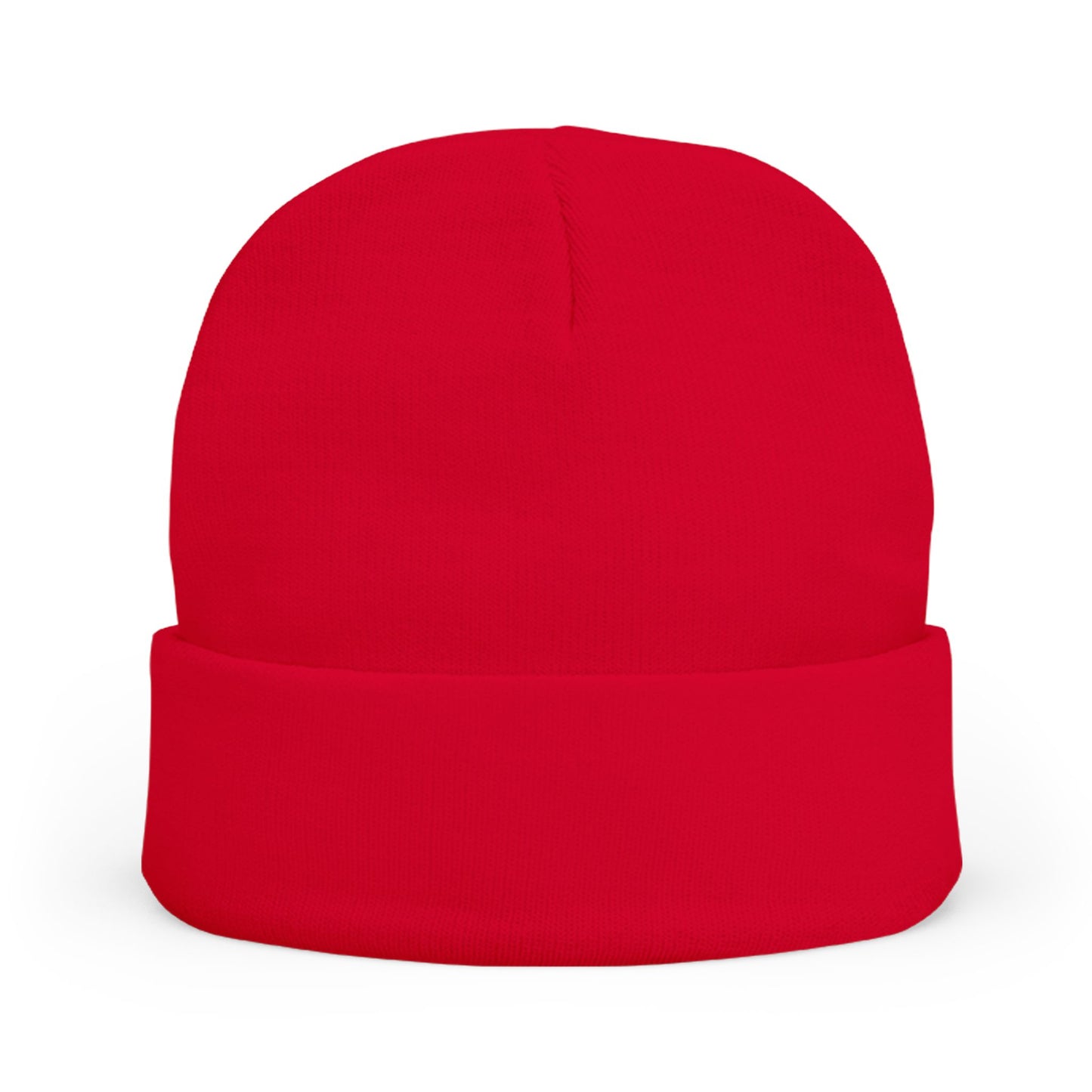 Airplane Embroidered Knit Beanie