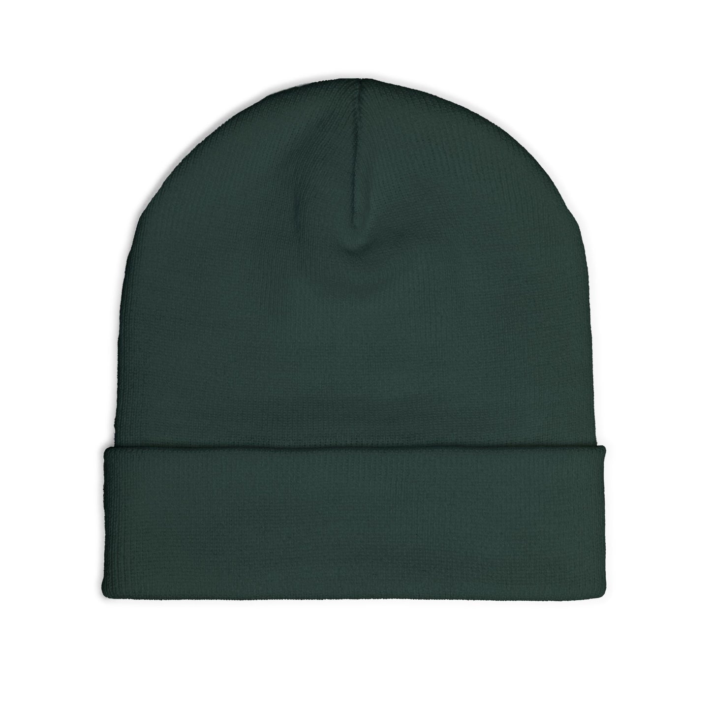 Airplane Embroidered Knit Beanie